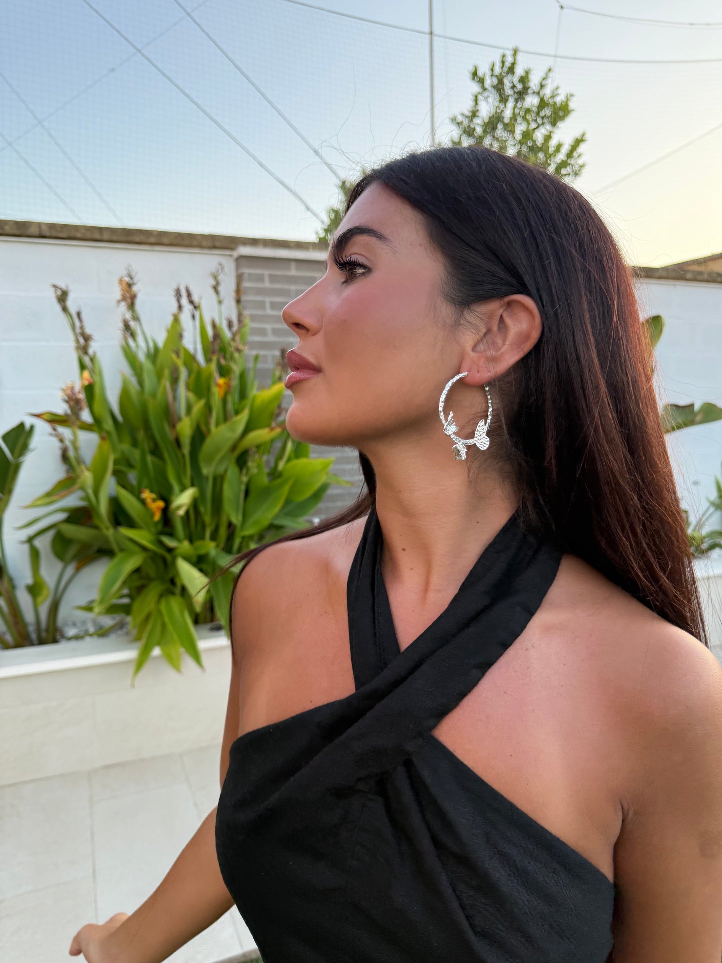 argollas con mariposas